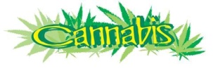 cannabis