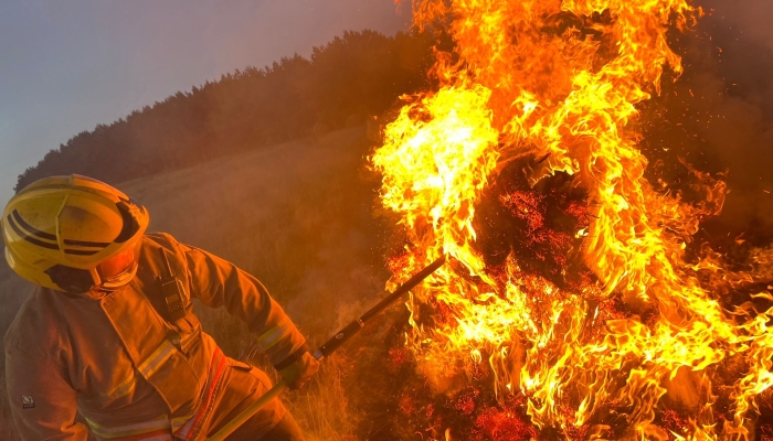 Firefighter fighting a grass fire 