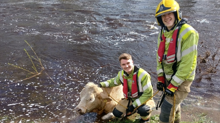 Firefighter Luke Heritage and Firefighter James Picker pictured with the bull. 