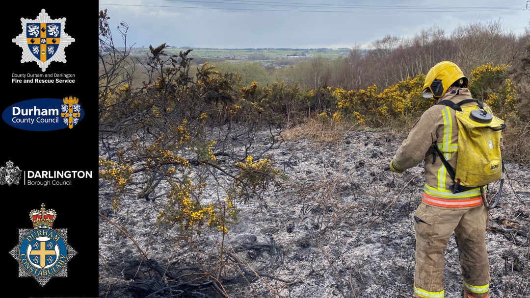 firefighter extinguishing a scrubland fire 